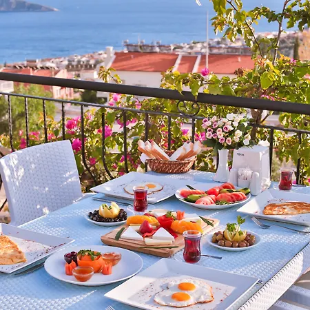 Hotel Samira & 3*