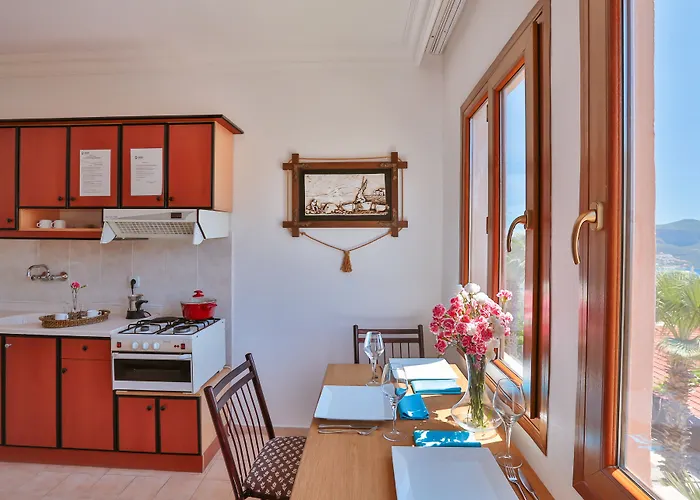 Hotel Samira & 3*